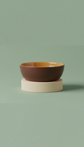 Ceramic Pet Bowl In Earthy Cream