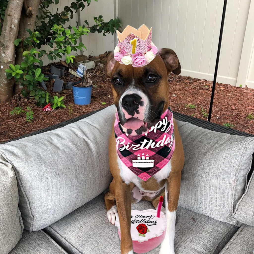 Pink Dog Birthday Hat Crown and Bandana Set for Girls with Puppy Crown Hat and Heart Plush Cake Toy with Bell Inside