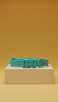 Adjustable Cat Collar in Tropical Teal